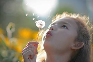 EDMONTON - Young Girl with Dandelion